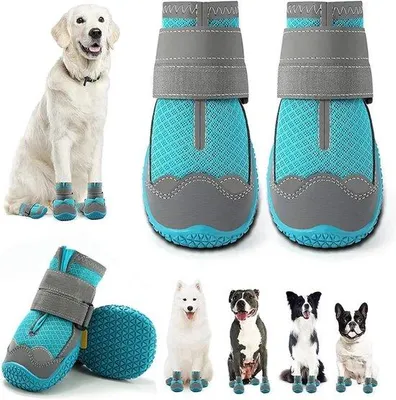 Image de Chaussures réfléchissantes pour chiens, pour le sport - Lot de 4 - Bandes antidérapantes - Plein air