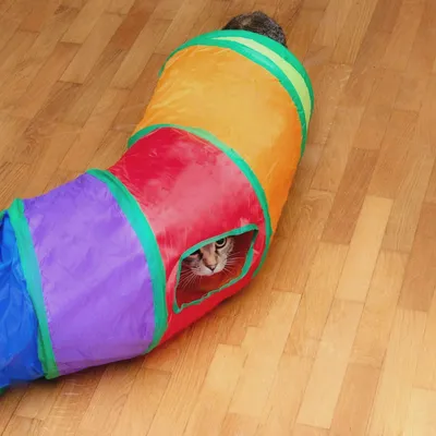 Produktbild von Katzentunnel in Regenbogenfarben - 120 cm Länge - 25.5 cm Durchmesser - Katzenspielzeug Faltbar Spielzeug Tunnel Röhre Höhle für Katzen Hunde Hasen Kleintiere für Indoor Outdoor