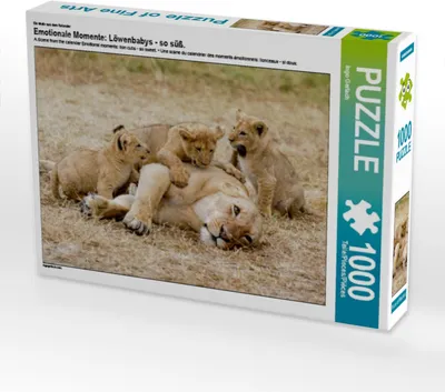 Produktbild von Calvendo Ein Motiv aus dem Kalender Emotionale Momente: Löwenbabys - so süß. 1000 Teile Puzzle quer 640x480mm, Gerlach Ingo; 7318437