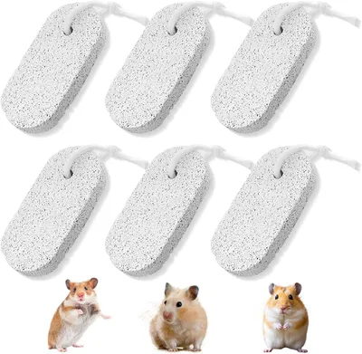 Imagen del producto de Piedras de afilar para roedores, 6 unidades, naturales, para hámsteres y pequeños animales
