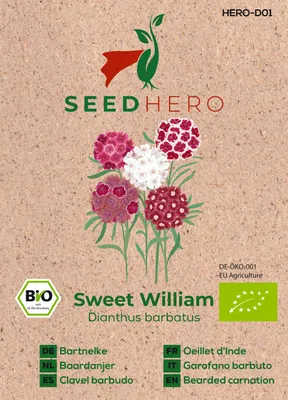 Produktbild von Seedhero  Bartnelke  Sweet William Samen