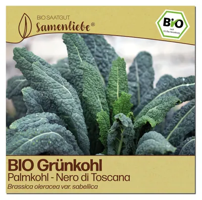 Produktbild von Samenliebe Grünkohl Samen | Nero di Toscana - winterhart & zweijährig & schwarz - samenfestes Saatgut