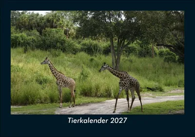 Produktbild von Tierkalender 2027 Fotokalender DIN A5