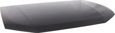 Image de DIEDERICHS 1066000 Capot moteur, volet avant pour AUDI Q3 (F3B) 2018-