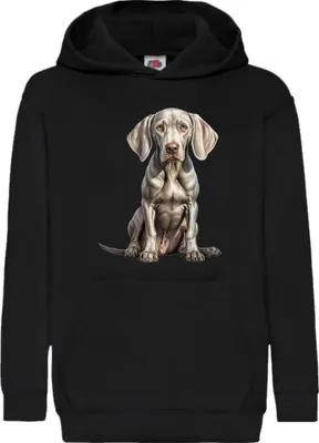 Zdjęcie produktu dla Dziecięca Bluza Z Kapturem Dogs Breeds Weimaraner Dog Breed 006, 7-8 Jahr - 128 / Czarny