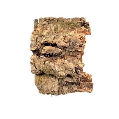Produktbild von Korkrinde Korktunnel Korkröhre ca. 30cm breit und ca. 10-20cm lang