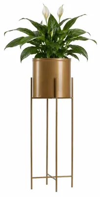 Produktbild von Howhomely | Blumenständer - Gold - Höhe 75 cm - Aus Metall - Für Zuhause und den Balkon - Mit BlumenTopf