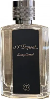 Produktbild von S.T. Dupont Exceptional Eau De Parfum 100 ml (man)