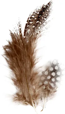 Produktbild von Creativ Company 51812, Braun, Polybag, 3 g