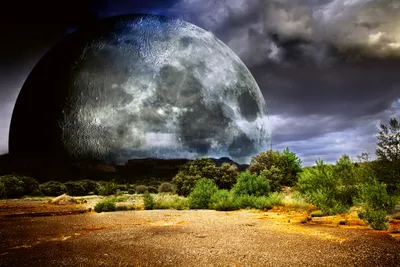 Produktbild von Fototapete - Moon 375x250cm - Vliestapete