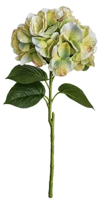 Produktbild von G.blümt Künstliche Hortensien 64 cm lang, Kunstblumen Real Touch wie echt, Grünes Weiß 1 Stück