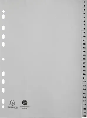 Image de Exacompta 20x Intercalaires imprimés PP recyclé gris 31 pos A4 Gris 1931E