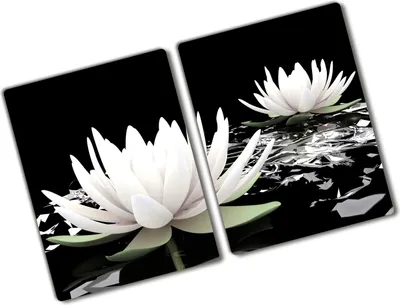 Produktbild von Tulup Glas Herdabdeckplatte - 2x40x52 cm - Glaskeramikkochfeld-Abdeckung Spritzschutz Glasabdeckplatte Kochplattenabdeckung und Schneidebrett - Zweiteilig - Blumen & Pflanzen - Seerosen - Weiß