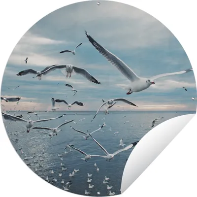 Produktbild von MuchoWow® Gartenposter Outdoor-Poster Rund Vogel - Meer - Schwarm Ø 150 cm Gartendeko Rundes Poster draußen