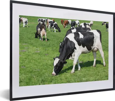 Produktbild von MuchoWow® MuchoWow® Gerahmtes Poster Kuh - Tiere - Gras - Sonne 40x30 cm - Poster mit zchwarzem Bilderrahmen - Bilderrahmen - Poster im Rahmen