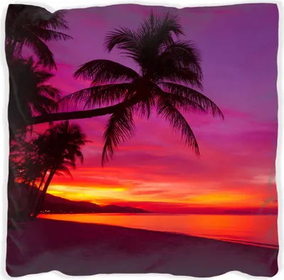 Produktbild von Wallario Premium Kissen, weiche Oberfläche, mit Motiv Abendrot unter Palmen - pinker Himmel am Strand, Größe: 60 x 60 cm, mit weißer Rückseite