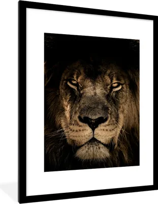 Produktbild von MuchoWow® Gerahmtes Poster Löwe - Tiere - Schwarz - Porträt 60x80 cm - Poster mit Schwarzem Bilderrahmen Wandposter Rahmen Foto Bilder - Wohnzimmer - Dekorationen - Prämie