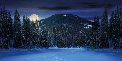 Produktbild von Hintergrundtuch Berglandschaft Nacht Leinwand 100x75 cm für größere Weihnachtsdörfer
