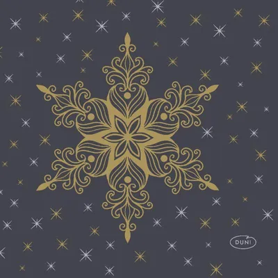 Immagine prodotto di Tovaglioli Duni Snowstars Nero 24x24cm