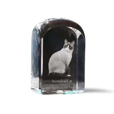 Imagen del producto de Zapato de nieve sello de cristal con un gato Art-Dog