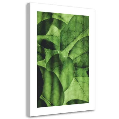 Produktbild von Leinwandbild Grüne Blätter, Makro 70x100 Feeby Grün bild für die wand bereit zum aufhängen