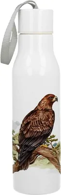 Produktbild von Thermoflasche, Thermosflasche, Als Geschenk, in einer Box Vogelwelt - Steinadler 500 ml
