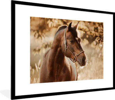 Produktbild von MuchoWow® Gerahmtes Poster Pferd - Sonne - Porträt - Natur - Braun 80x60 cm - Poster mit Schwarzem Bilderrahmen Wandposter Rahmen Foto Bilder - Schlafzimmer-Dekorationen - Fotoposter