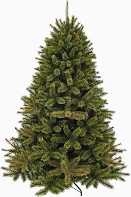 Produktbild von Forest Frosted künstlicher Weihnachtsbaum 305xø188cm | grün mit gefrosteten Details