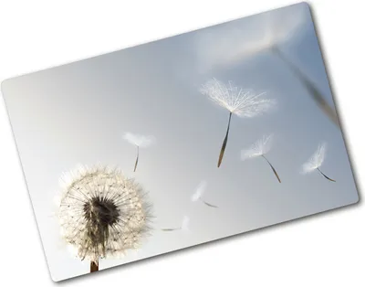 Produktbild von Tulup Glas Herdabdeckplatte - 80x52 cm - Glaskeramikkochfeld-Abdeckung Spritzschutz Glasabdeckplatte - Einteilig - Blumen & Pflanzen - Pusteblume - Blau