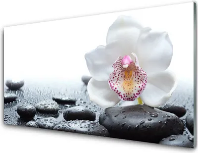 Produktbild von Acrylglasbilder 100x50 Wandbild Druck Blume Steine Kunst