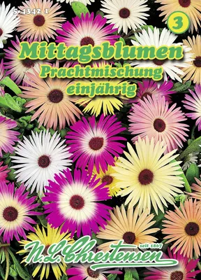 Produktbild von Mittagsblume PrachtMischung | Blumensamenmischung von N.L. Chrestensen