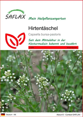 Produktbild von SAFLAX - Heilpflanzen - Hirtentäschel - 1000 Samen - Capsella bursa-pastoris