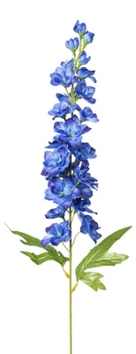 Produktbild von Kunstblume RITTERSPORN 75cm. Künstlicher Delphinium in BLAU