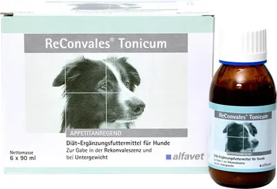 Produktbild von Reconvales Tonicum für Hunde 6X90 ml