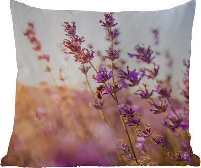 Produktbild von MuchoWow® Outdoor Kissen - Lavendel - Nahaufnahme - Sonne - Blumen - Lila - 40x40 cm - Wetterfest - Lounge Kissen - Kopfkissen - Interieur - Polster mit Bild