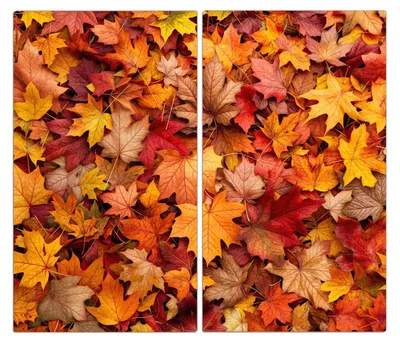 Produktbild von Spritzschutz Herdabdeckplatte Schneidebrett aus Glas Herbstlaub 2-Teilig (60x52cm)