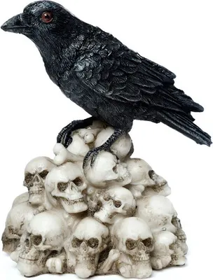 Produktbild von Krähe stehend auf Totenköpfen Ornament