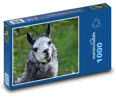 Zdjęcie produktu dla Puzzle 1000 Alpaka na wolności - martinpuzzle