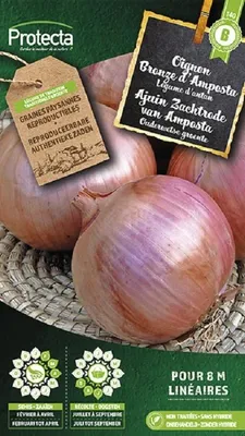Productafbeelding van Protecta Groente zaden: Ajuin Zachtrode van Amposta | Rode ui