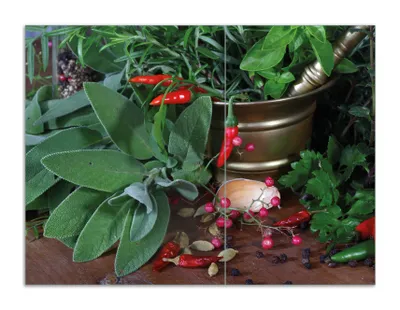 Produktbild von Wallario Herdabdeckplatte aus Glas, Größe 70 x 52 cm 2-teilig, Motiv Frische  Kräuter  und  Gewürze