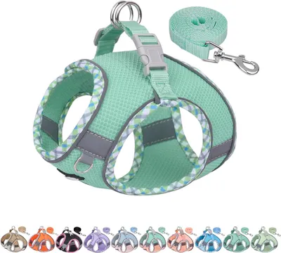 Produktbild von Hundegeschirr und Leine Set XXS, atmungsaktiv, reflektierend, für kleine Hunde, türkis