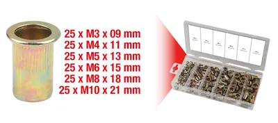 Obrázek produktu pro KS TOOLS Sortiment Gewindenieten, Stahl, M3x9mm-M10x21mm, 150-tlg. (970.0610)