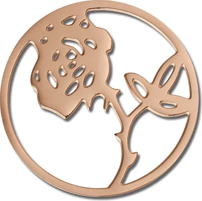 Produktbild von Amello Coins rose 30 mm Einleger Edelstahl vergoldet Coin Rose Damen ESC506E
