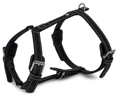 Produktbild von Das Lederband Geschirr Barcelona Black, Halsumfang: 35-55 cm