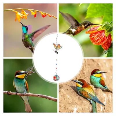Produktbild von Kolibri Futterstelle - Windspiel für Vögel - Futterstelle für Garten, Terrasse und Balkon