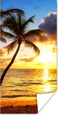 Produktbild von MuchoWow® Poster Strand - Horizont - Sonnenuntergang - Palme - Meer 20x40 cm - Plakat - Foto