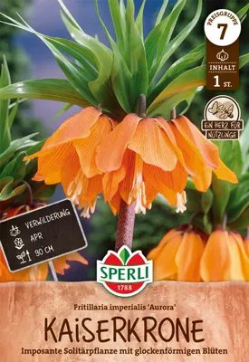 Produktbild von SPERLI Kaiserkrone Aurora Fritillaria imperialis 1 Zwiebel