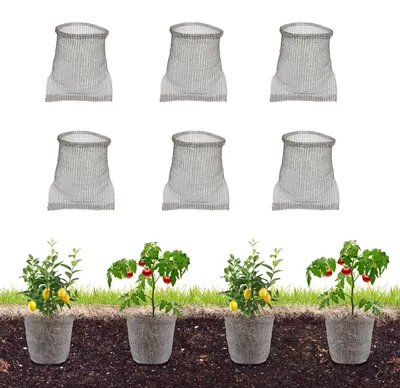Produktbild von Set mit 6 Edelstahlschutzkappen für Karottenpflanzen
