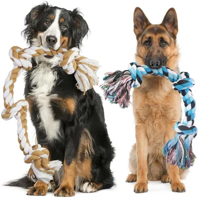 Image de Jouet pour chien, corde, lot de 2, 74 cm + 58 cm, 100 % coton, pour grands chiens