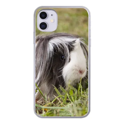 Produktbild von MuchoWow® Handyhülle Schutzhülle Hülle für iPhone 11 Langhaar-Meerschweinchen Silikon Softcase Handy Hülle - Handytasche